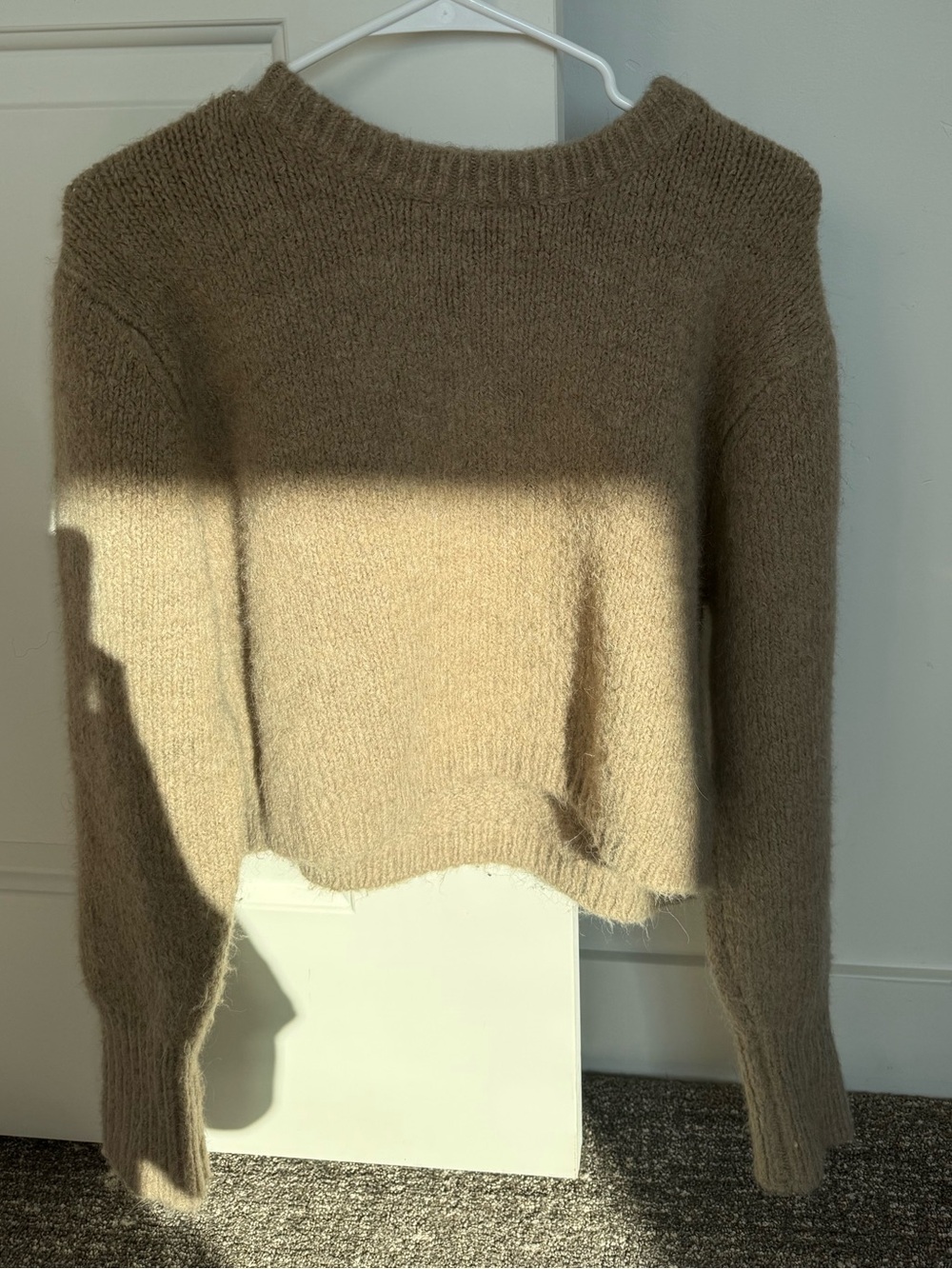 Zara Neutral Tan Cropped Crewneck Sweater